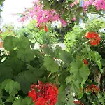 Tassos Faliraki