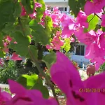 Aparthotel Tassos 2*