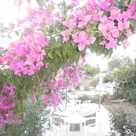 Tassos Aparthotel