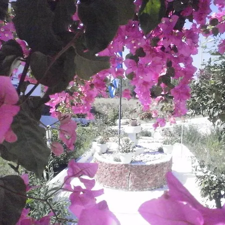 アパートホテル Tassos ファリラキ