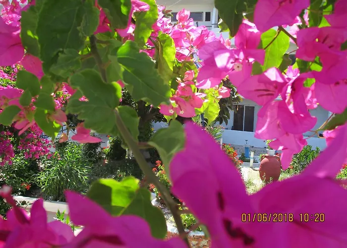 Apart Otel Tassos 2*