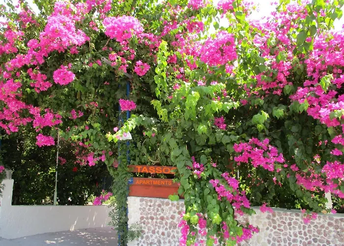Apart Otel Tassos Faliraki