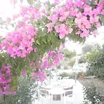 Tassos Апарт-отель