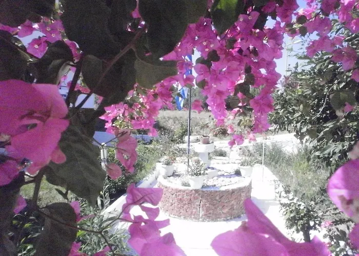 Hotel apartamentowy Tassos Faliraki